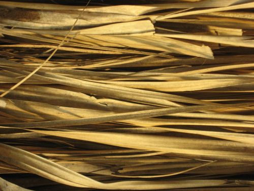 texture straw hut