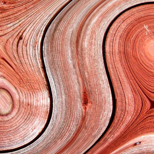 Stylized Wooden Texture (1)