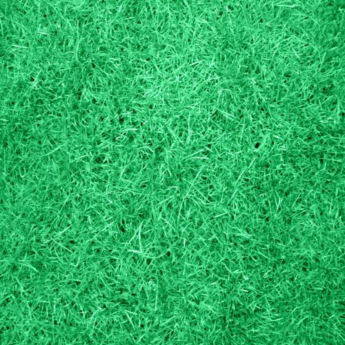 Texture Grass