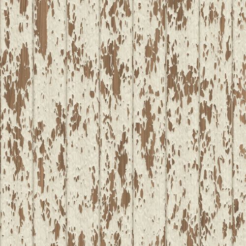 Old Wood Texture (1)