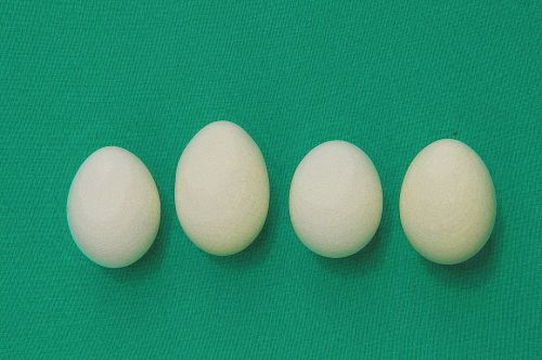Textured Eggs
