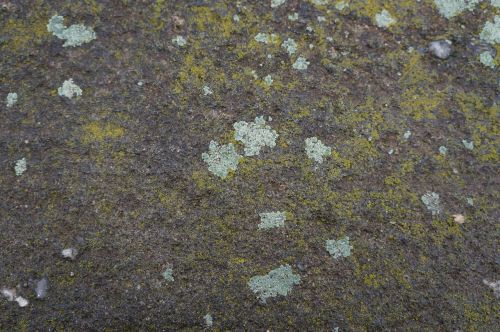 textures stone background