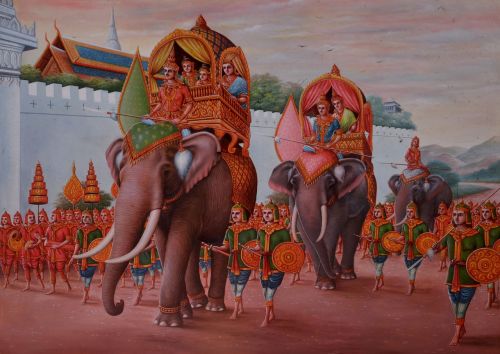 thailand asia elephants