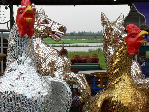thailand market horses