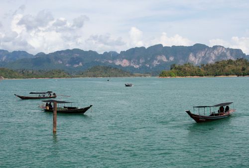 thailand jungle thai