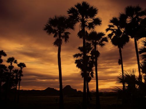 thailand sunset nature