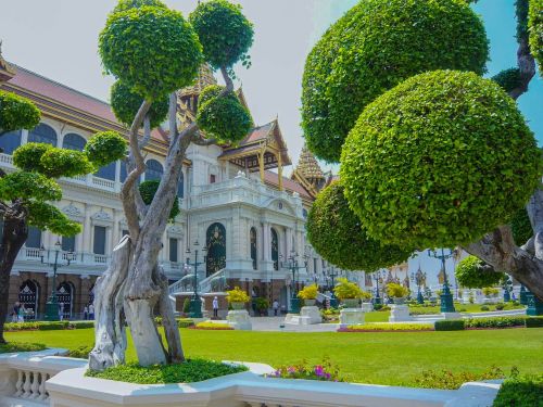 thailand green trees