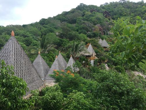 thailand bungalow koh phi phi