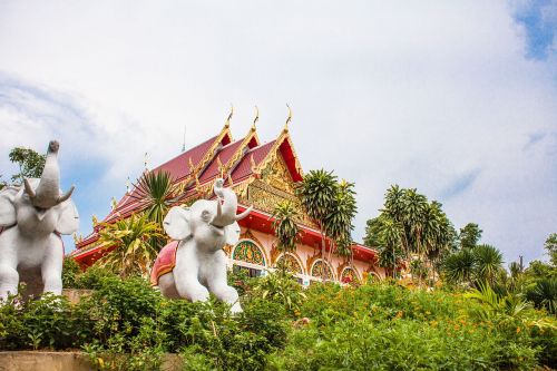 thailand wat temple