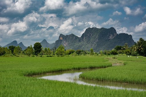 thailand  landscape  nature