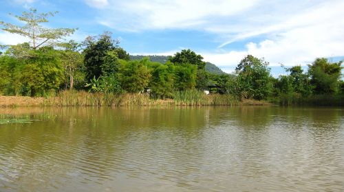 thailand river shore