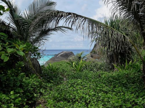 thailand island rock