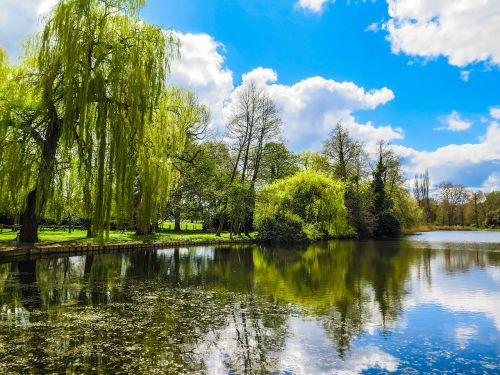 thames runnymede spring