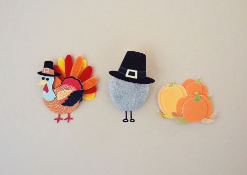 thanksgiving turkey season