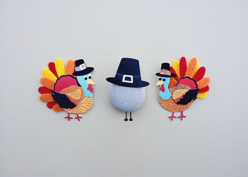 thanksgiving turkey holiday