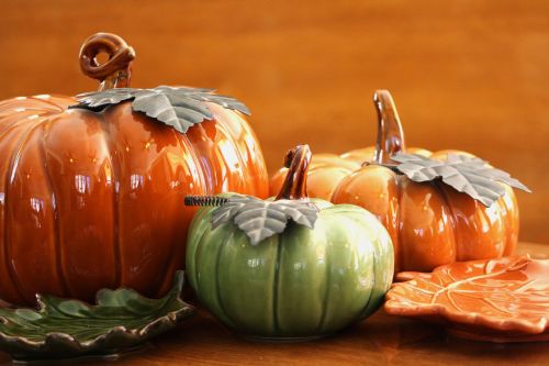 thanksgiving pumpkin seasonal
