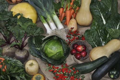 thanksgiving vegetables harvest