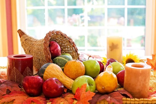 thanksgiving  cornucopia  fruit