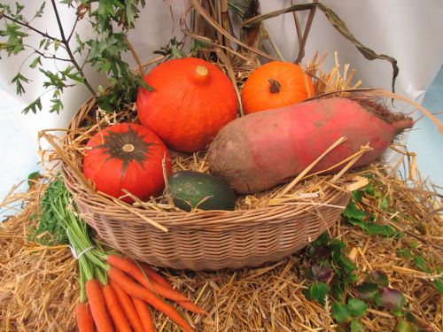 thanksgiving vegetables fruits