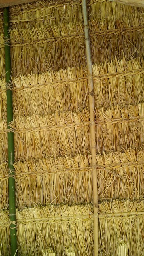 thatch roof laos