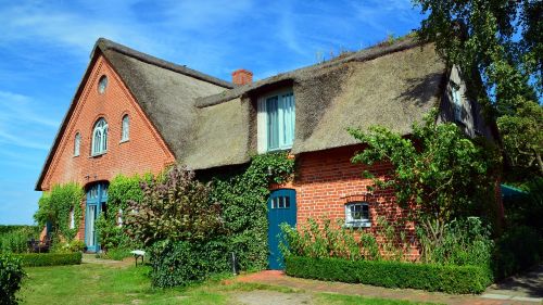 thatched cottage rural reed