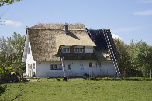 thatched roof roof roofers