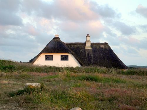 thatched roof home reed