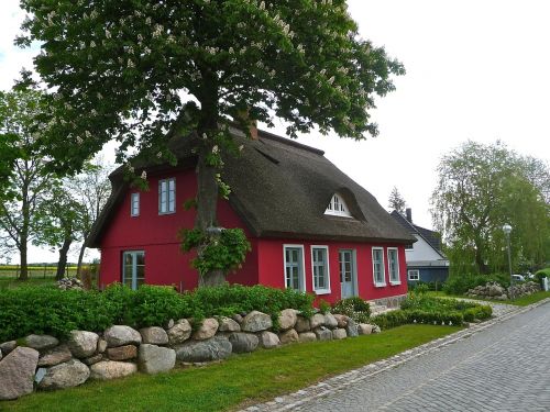 thatched roof house building