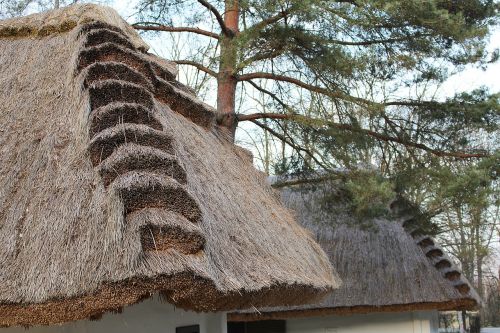 thatched roof straw roof straw
