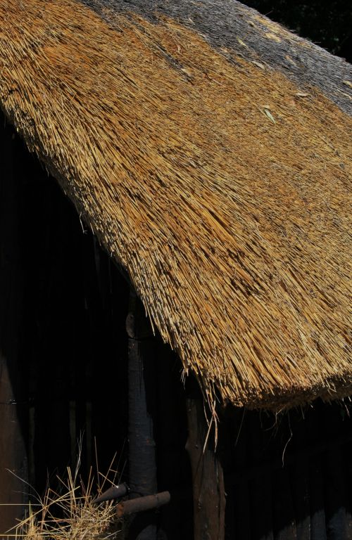 Thatched Roof Of Rondavel
