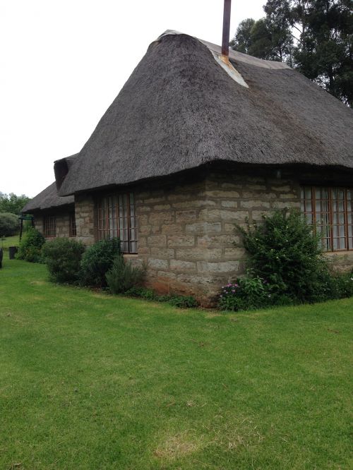 thatching thatched house house