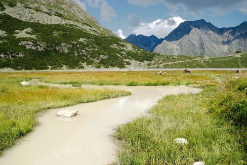 the alps austria glacial stream