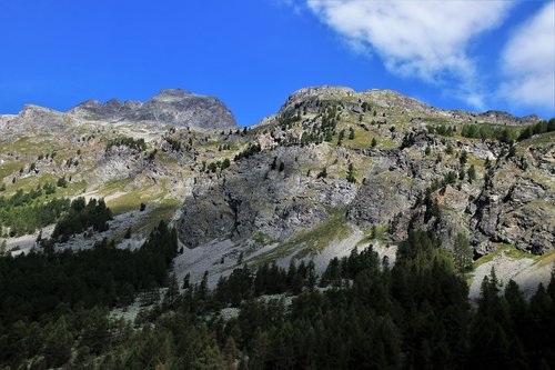 the alps  tops  view