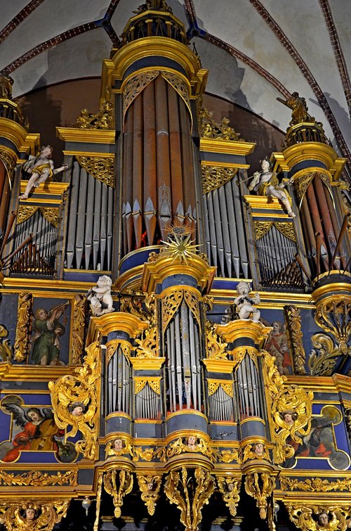 the basilica  cathedral  organ