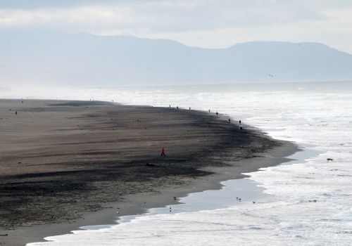 The Beach