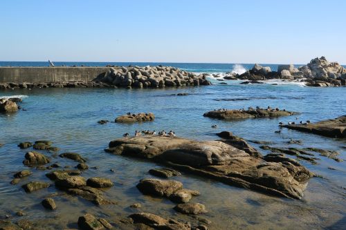 the body of water coast sea