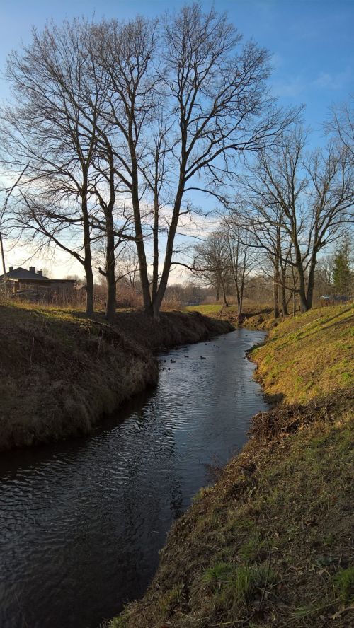 the brook tree river