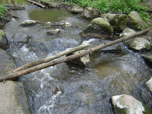 the brook stream crossing