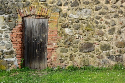 the cellar door the door in the wall wooden