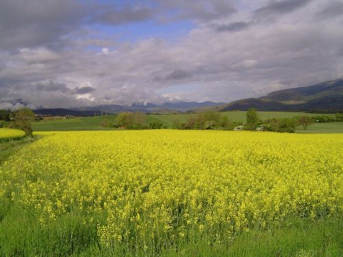 the cerdanya girona spain