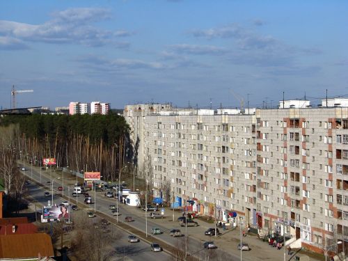 the city of perm kirovsky district pine