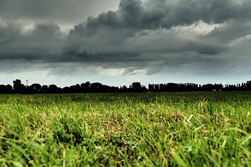 the clouds  clouds  sky