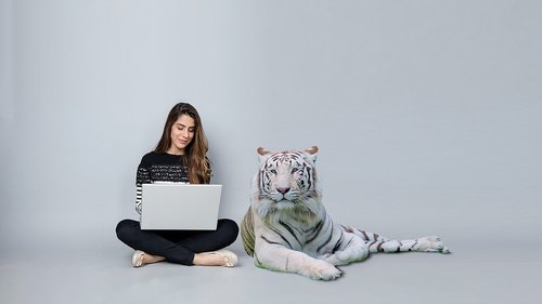 the computer  tiger  bengal