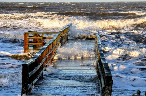 the cove skåne storm