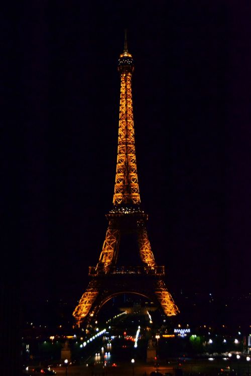 the eiffel tower night lighting