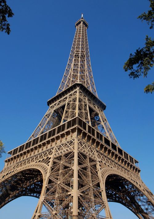 the eiffel tower view up