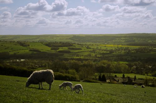 The English Landscape