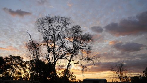 the evening sun landscape sky