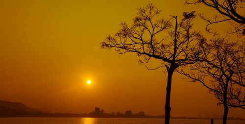 the evening sun trees river