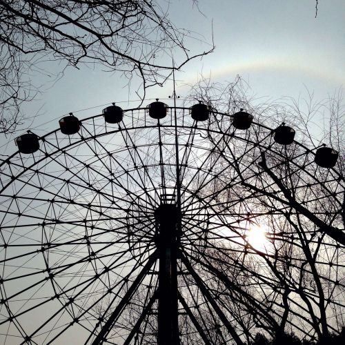 the ferris wheel sunset halo